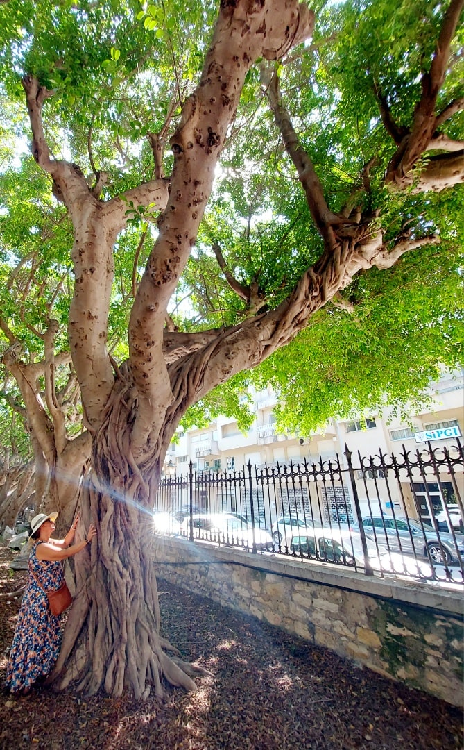 Hypnothérapeute, Meschers sur Gironde, Royan, Charente-Maritime